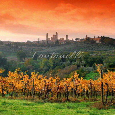 Foto Fontanelli - fotografia - San Gimignano