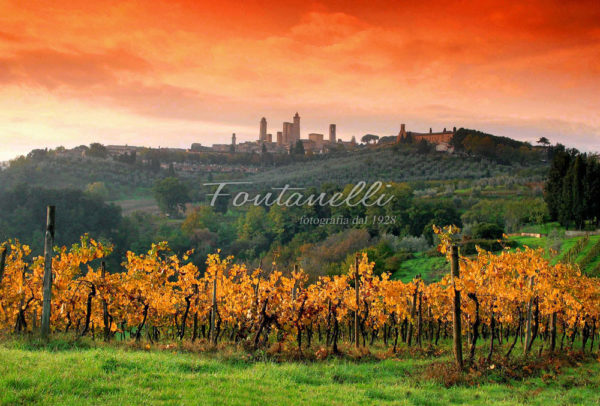 Foto Fontanelli - fotografia - San Gimignano