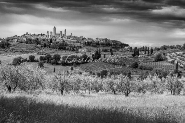 Foto Fontanelli - fotografia - San Gimignano