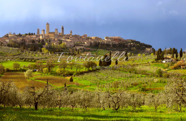 Foto Fontanelli - fotografia - San Gimignano