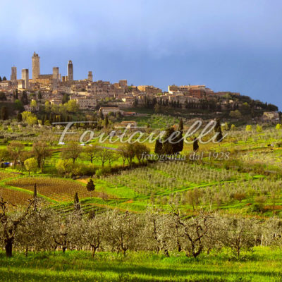 Foto Fontanelli - fotografia - San Gimignano