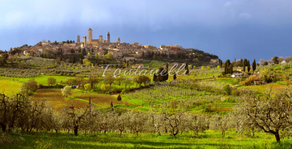 Foto Fontanelli - fotografia - San Gimignano