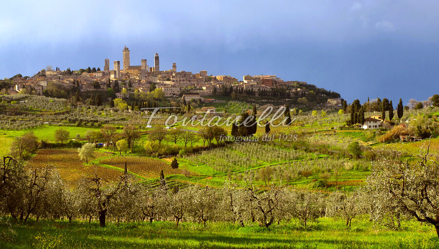Photo of San Gimignano in the springtime, Tuscany