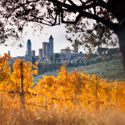 Foto Fontanelli - fotografia - San Gimignano