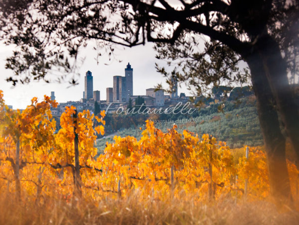 Foto Fontanelli - fotografia - San Gimignano