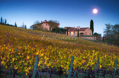 foto fontanelli campagna toscana