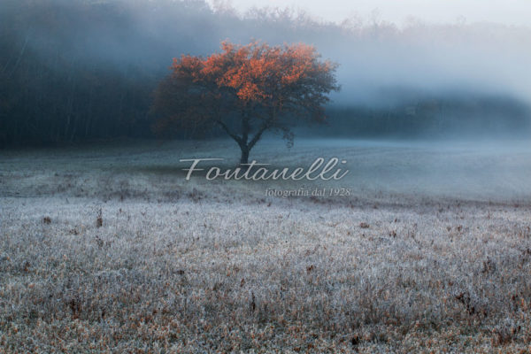 foto fontanelli campagna toscana