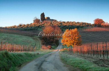 foto fontanelli campagna toscana