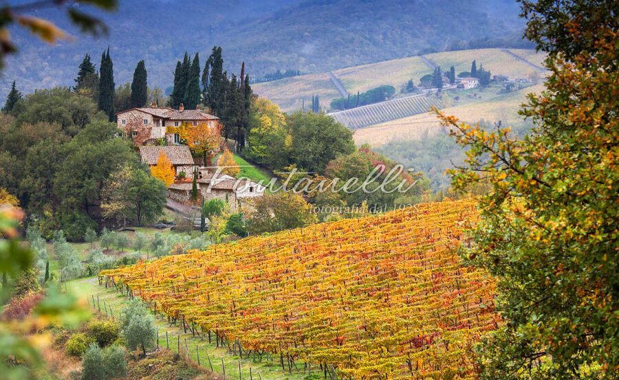 Foto casolare della campagna Toscana in Novembre, Toscana