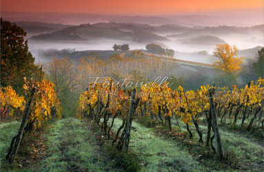 foto fontanelli campagna toscana