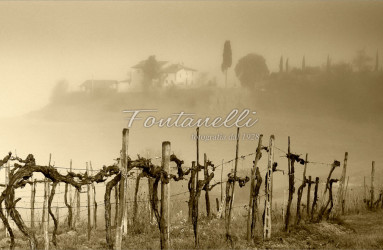 foto fontanelli campagna toscana