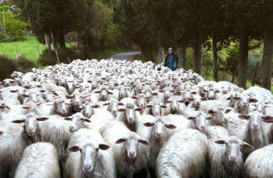 foto fontanelli campagna toscana