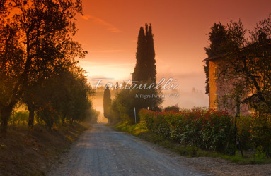 foto fontanelli campagna toscana