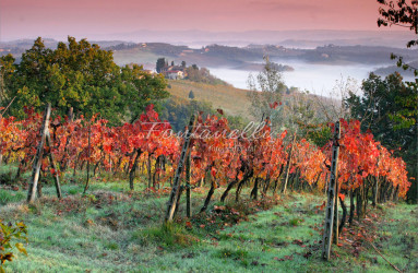 foto fontanelli campagna toscana