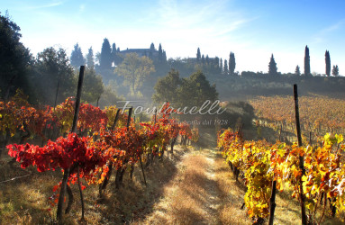 foto fontanelli campagna toscana