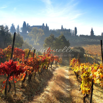 foto fontanelli campagna toscana