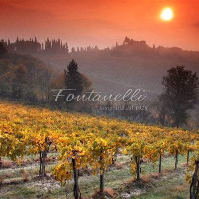 foto fontanelli campagna toscana