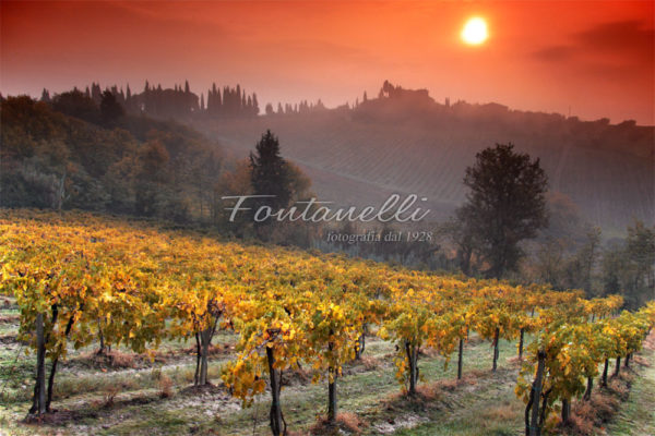 foto fontanelli campagna toscana