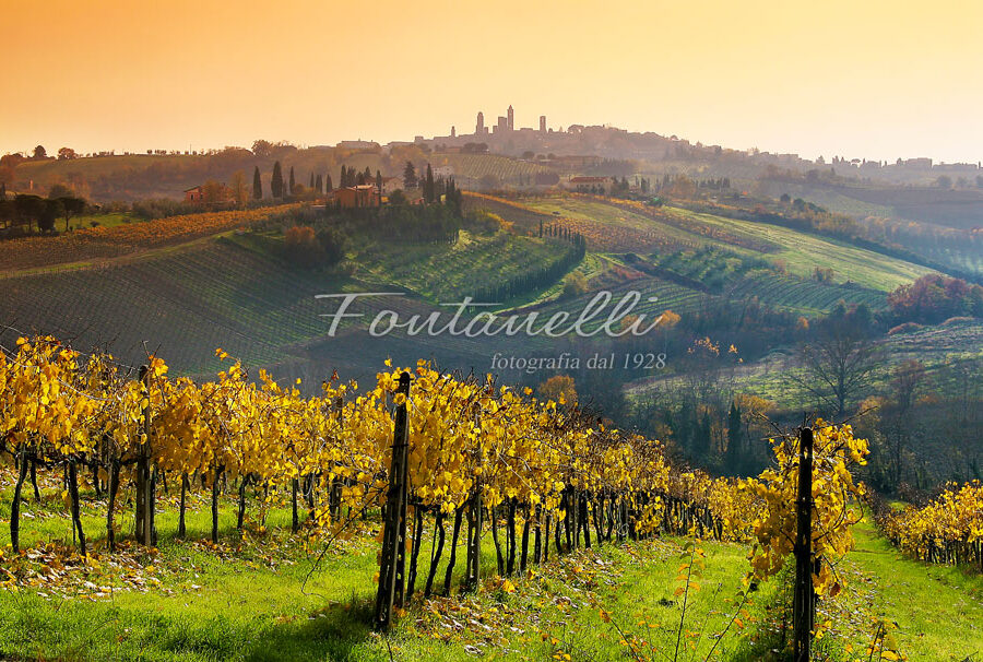 Photo view of San Gimignano from vineyards, Tuscany