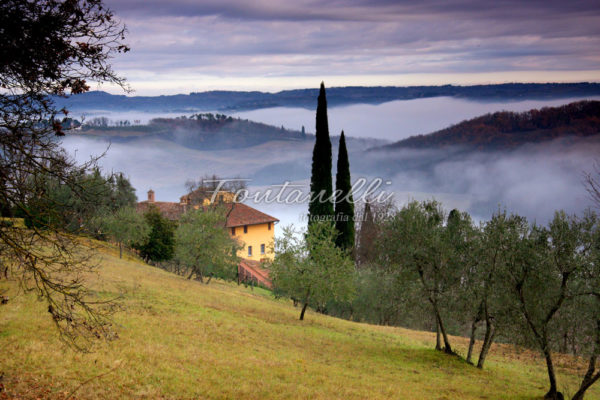 paesaggi foto fontanelli