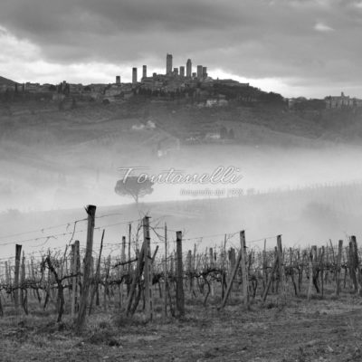 foto fontanelli san gimignano