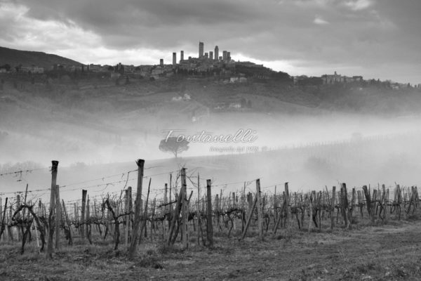 foto fontanelli san gimignano