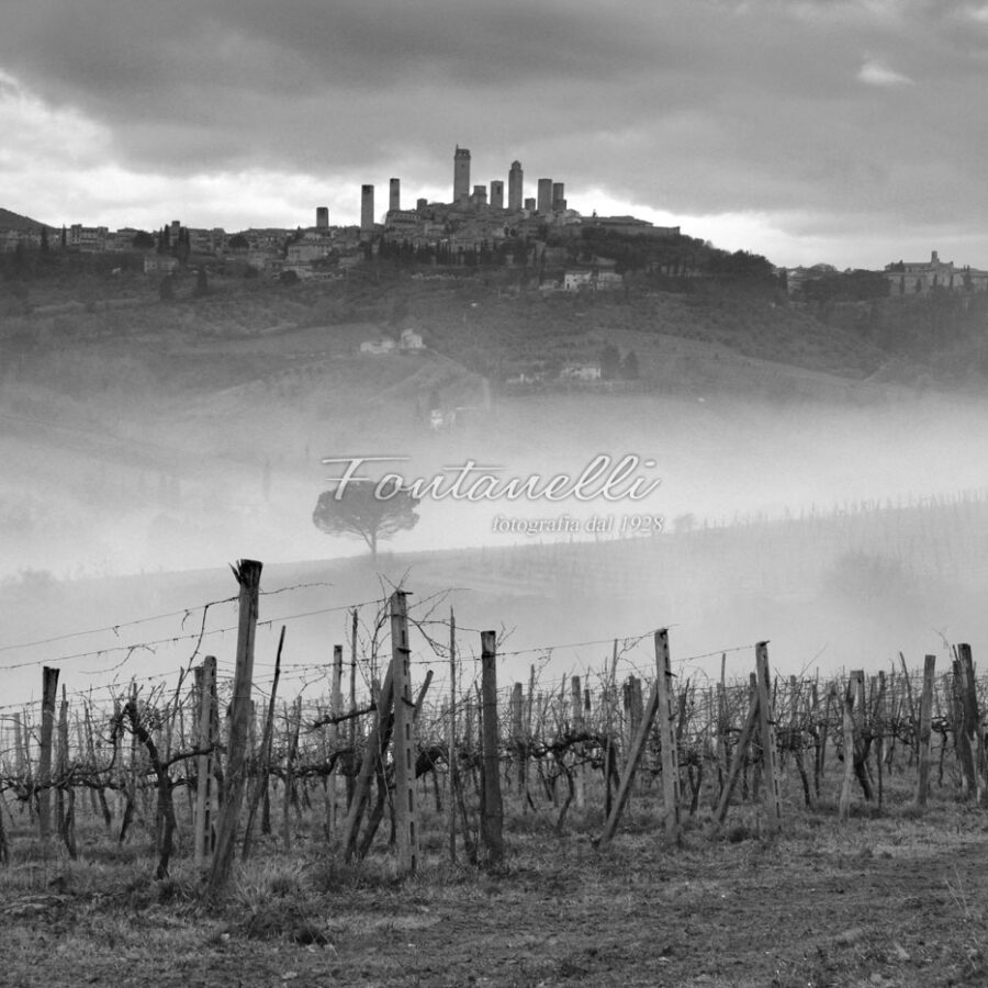 Photo San Gimignano and vineyards, Tuscany