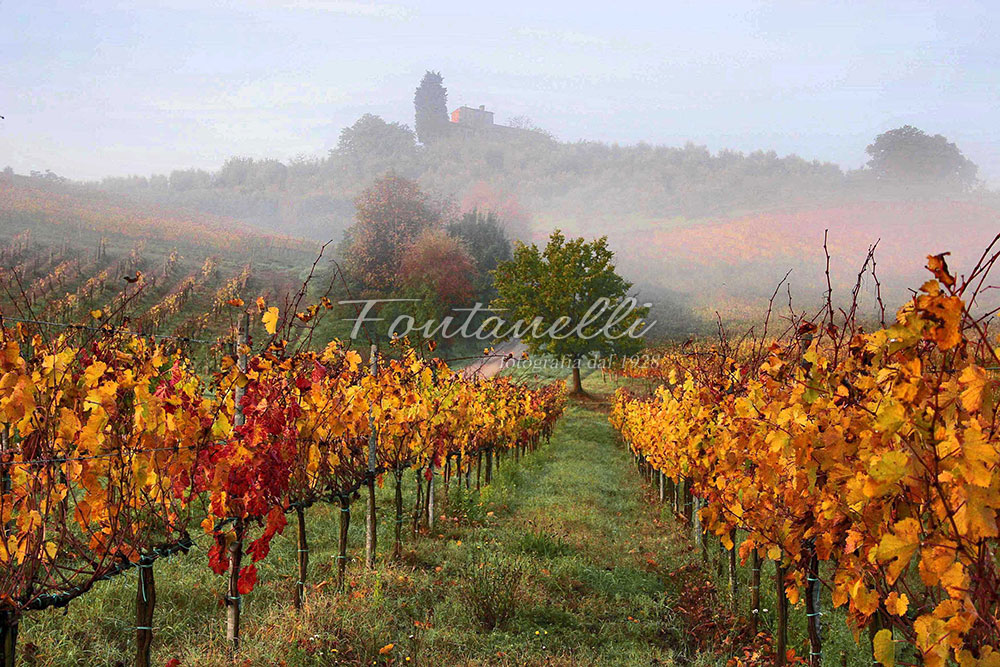 paesaggi-foto-fontanelli-san-gimignano-2n