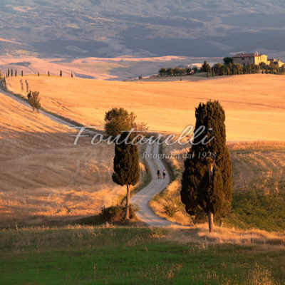 paesaggi foto fontanelli val d orcia 15a