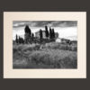 tuscany chianti region landscape black and white