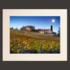 tuscany landscape vineyards