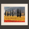 tuscany landscape picture for sale passepartout 29