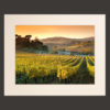 tuscany landscape vineyards picture for sale passepartout 18