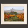 tuscany vineyards picture for sale