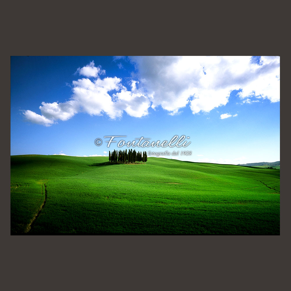 foto cipressi val d’orcia