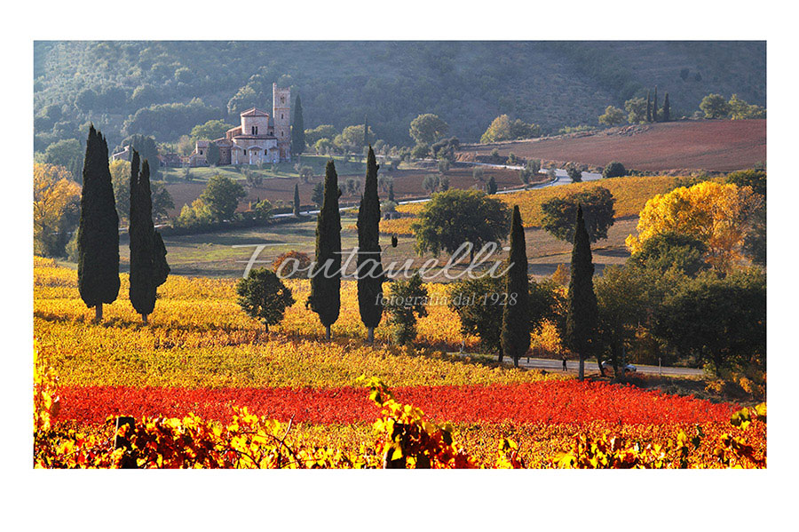 foto-panoramiche-senza-passepartout-1