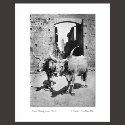 historic picture san gimignano tuscany black and white 39