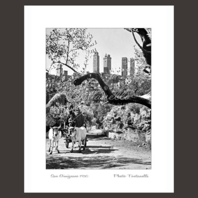 historic picture san gimignano tuscany black and white 33