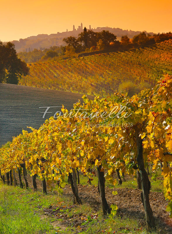 Foto campagna al tramonto, San Gimignano