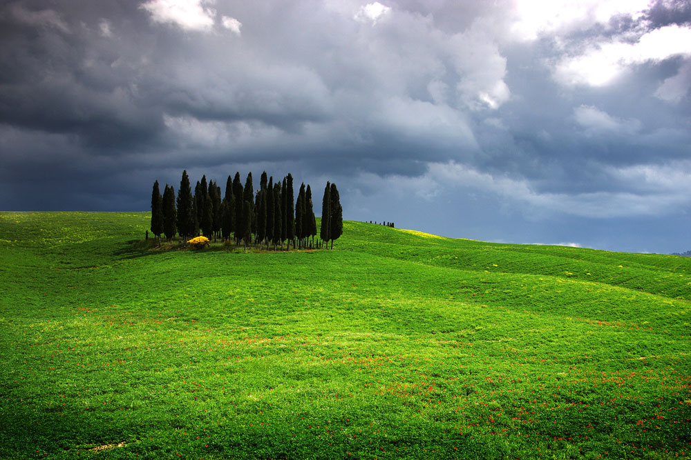 paesaggi-foto-fontanelli-san-gimignano-07