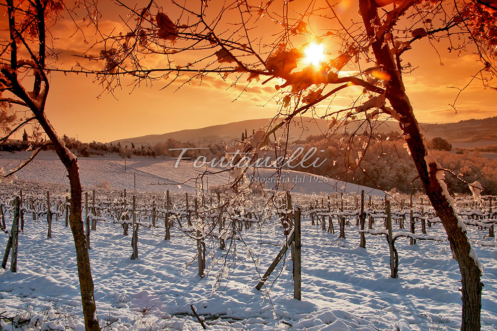 paesaggi-foto-fontanelli-san-gimignano-08