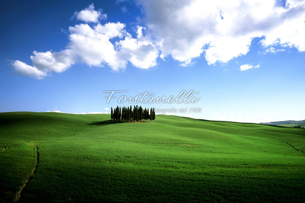 paesaggi-foto-fontanelli-val-d-orcia-12-a