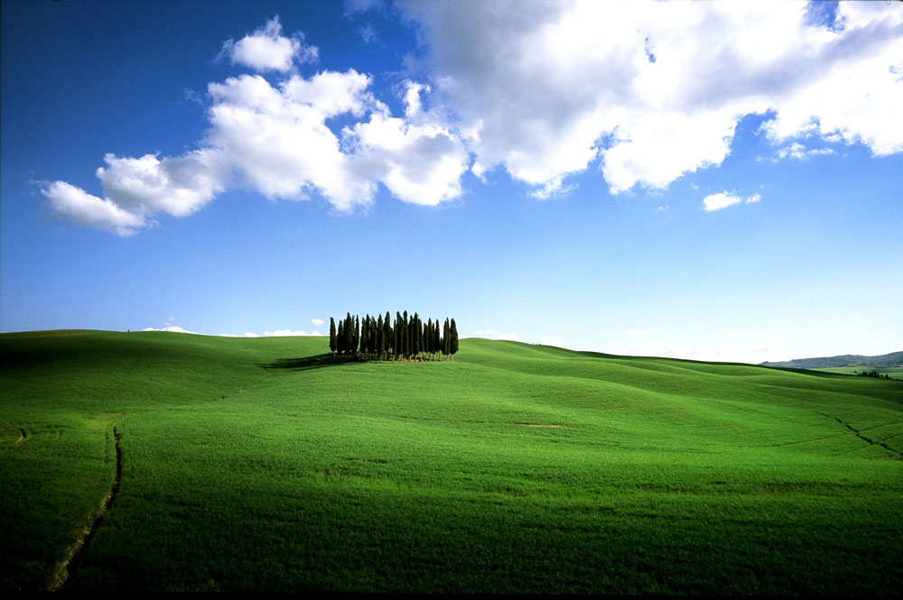 paesaggi-foto-fontanelli-val-d-orcia-12