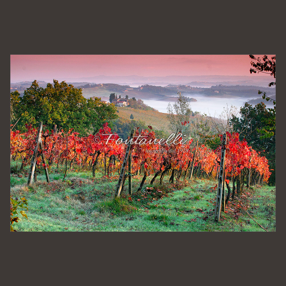 vigneti campagna toscana autunno