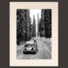 Fiat 500 on a typical street with cypress trees in Tuscany