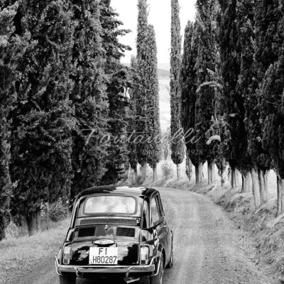 Fiat 500 on a typical street with cypress trees in Tuscany