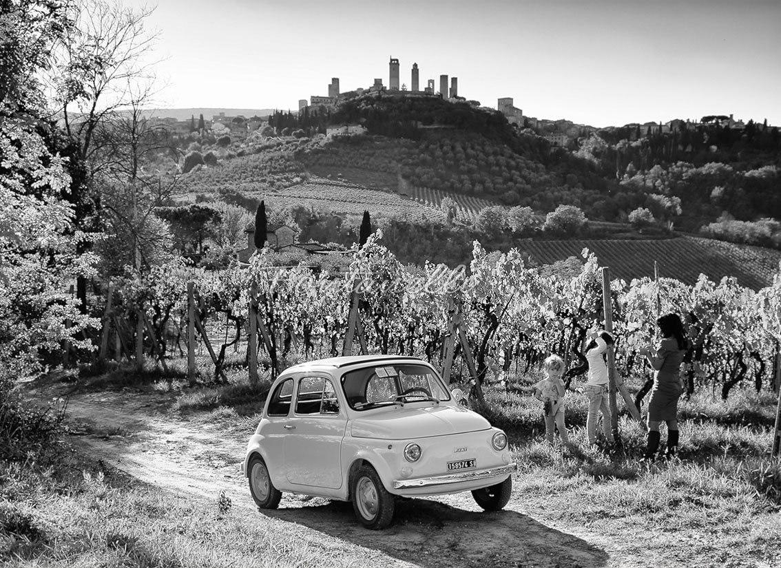 Among the vineyards of San Gimignano with the Fiat 500