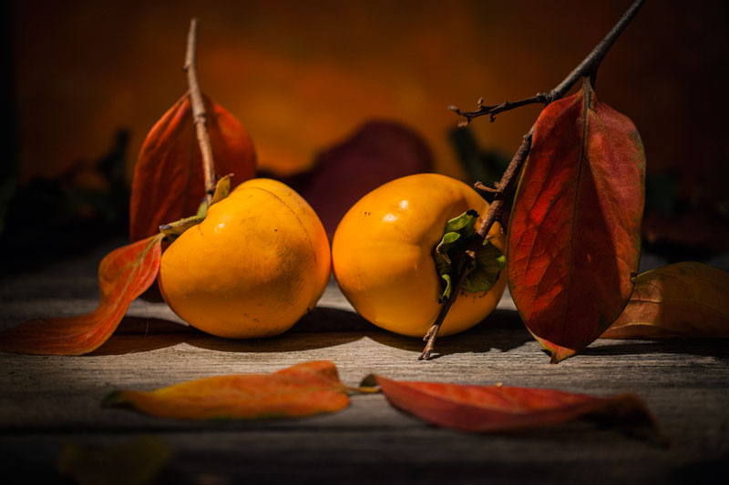 Foto-Natura-morta-diosperi