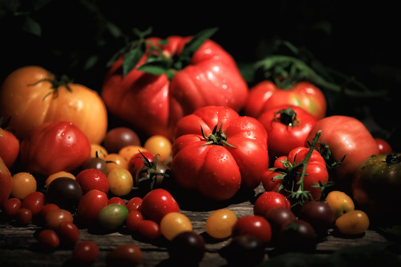 Photo still life tomatoes