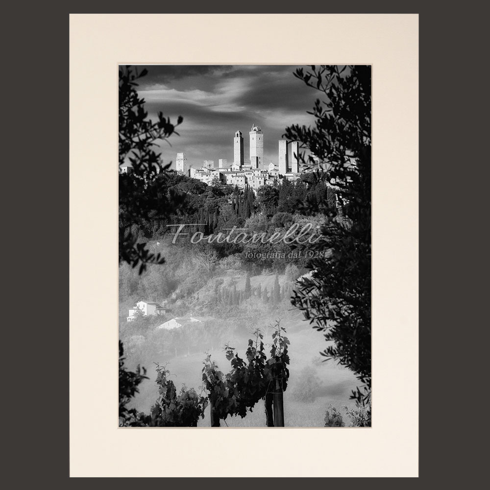 Photo of San Gimignano framed by foliage